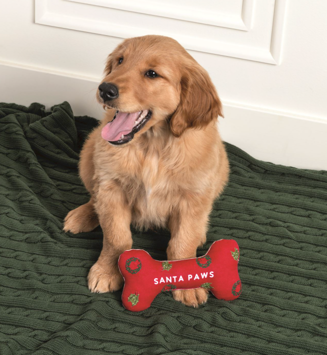 Embroidered Dog Bone Toys