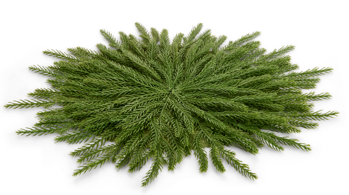 Cedar Placemat