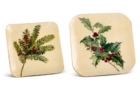 Evergreen Tray