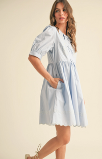 Bow Detail Mini Dress