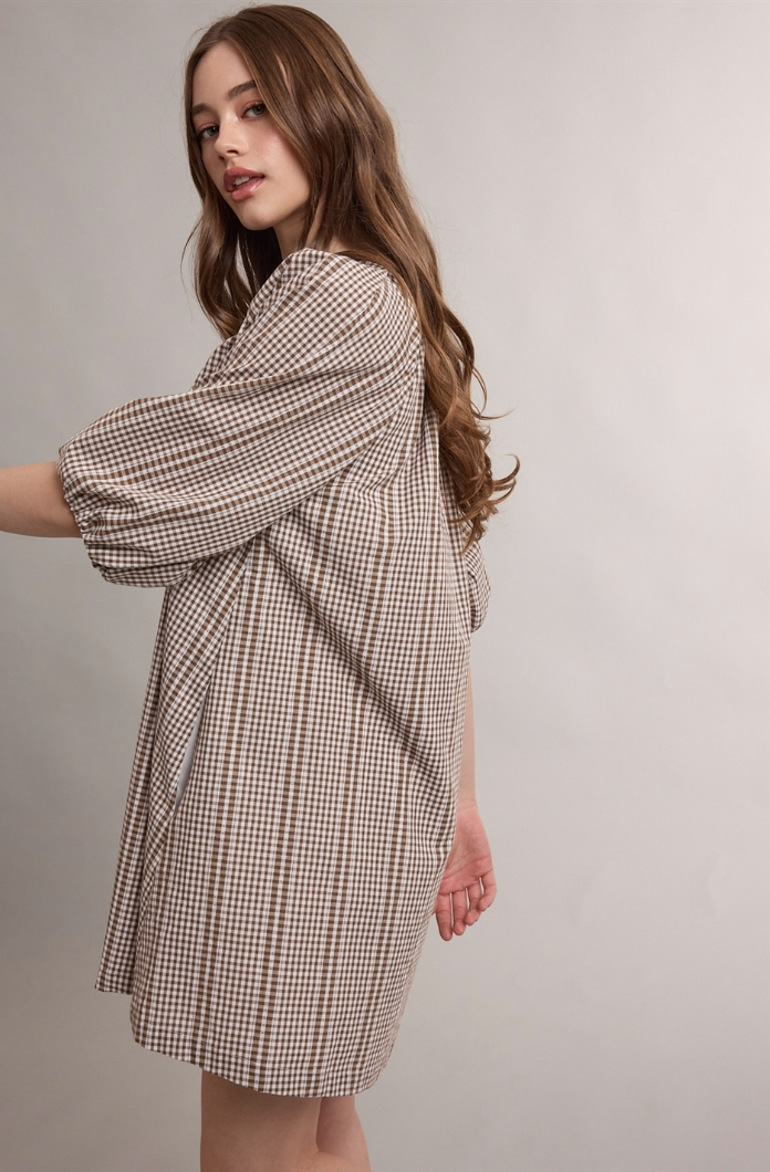 Gingham Puff Sleeve Mini Dress