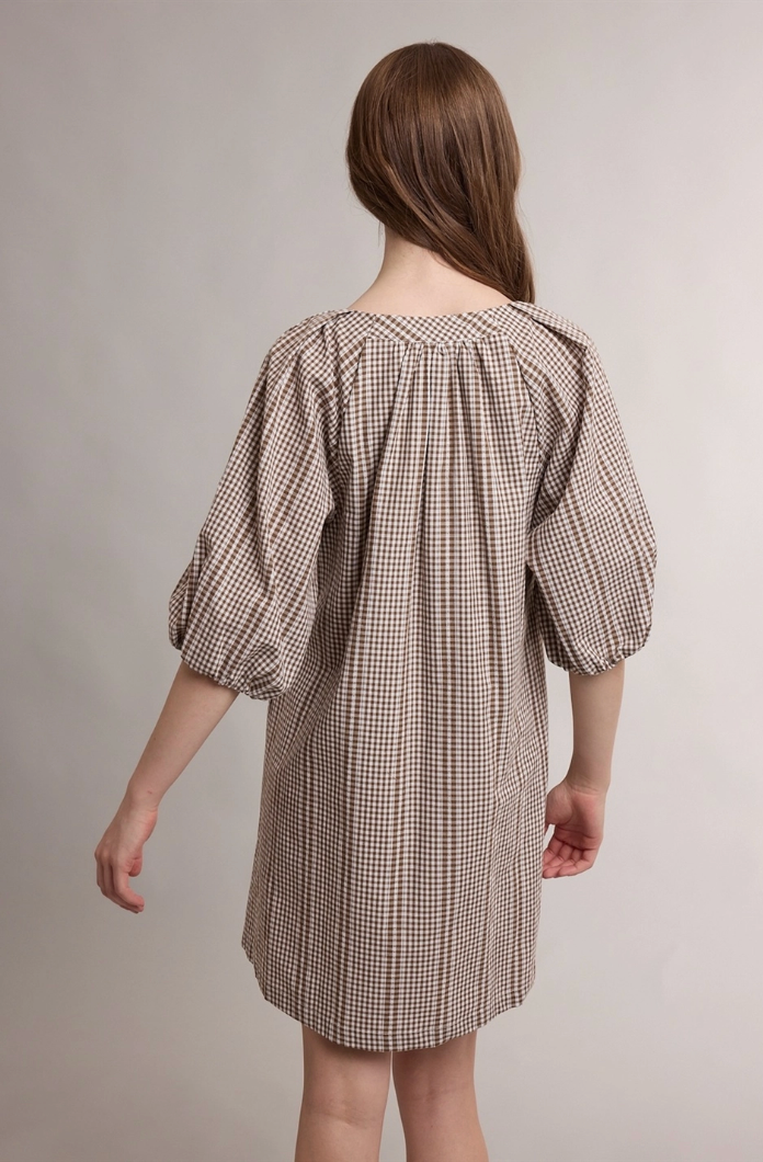 Gingham Puff Sleeve Mini Dress