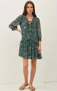 Paisley Print Ruffle Mini Dress