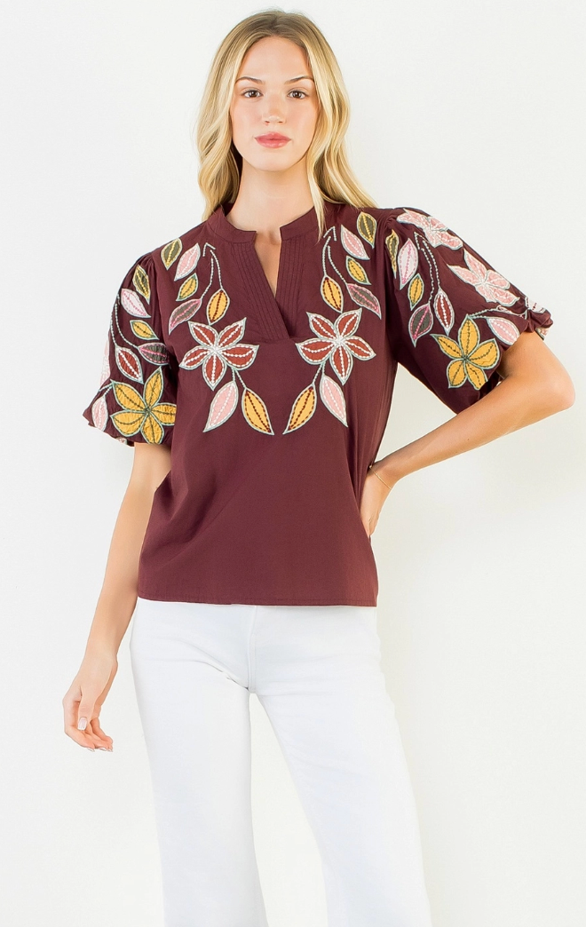 Puff Sleeve Embroidery Detail Top