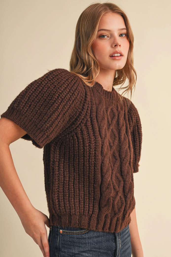 Short Sleeve Cable Knit Sweater