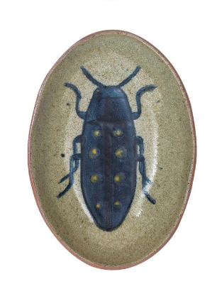 Insect Oval Dish