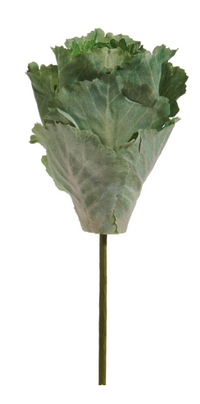 Cabbage Pick