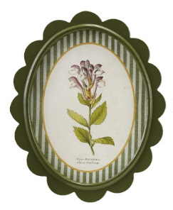 Scalloped Wall Decor