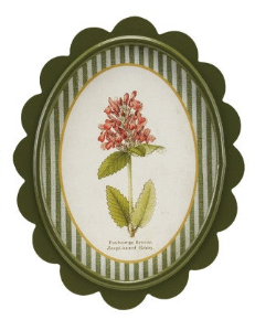 Scalloped Wall Decor