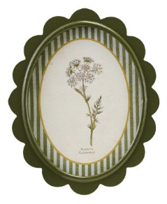 Scalloped Wall Decor
