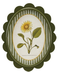 Scalloped Wall Decor