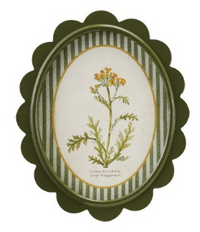 Scalloped Wall Decor