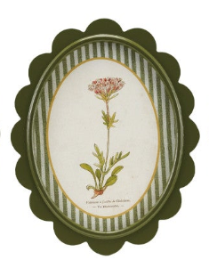 Scalloped Wall Decor