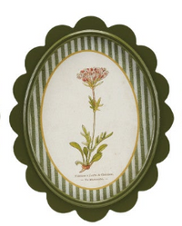 Scalloped Wall Decor