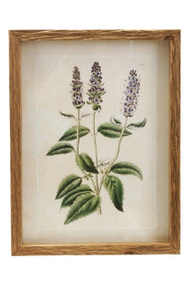 Framed Floral Wall Decor