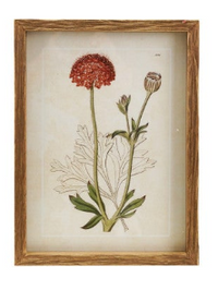 Framed Floral Wall Decor