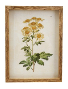 Framed Floral Wall Decor