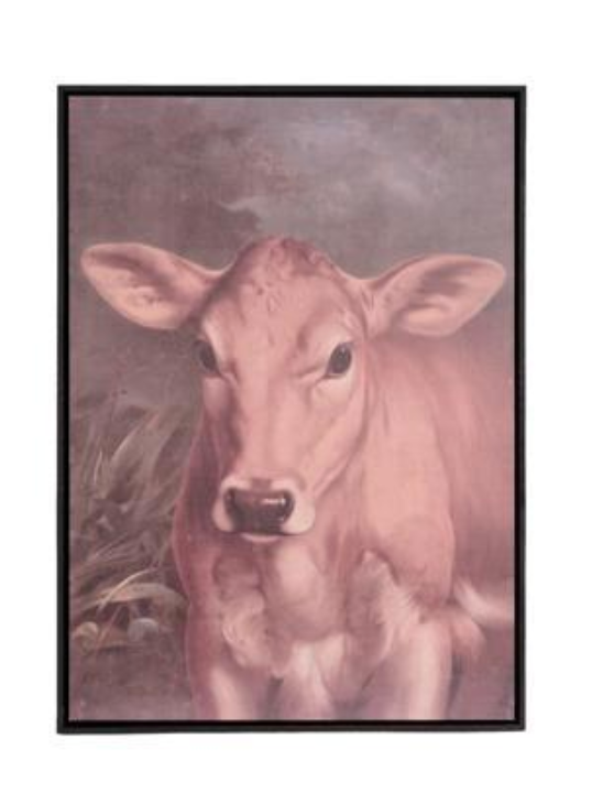 Brown and Black Cows in Frame