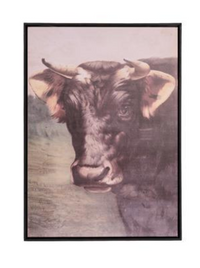 Brown and Black Cows in Frame