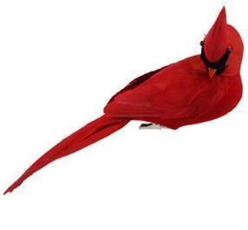 Red Feather Cardinal Clips