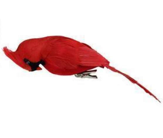 Red Feather Cardinal Clips