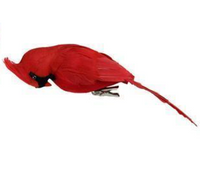 Red Feather Cardinal Clips