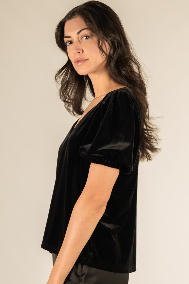 Velvet Flounce Sleeve Top