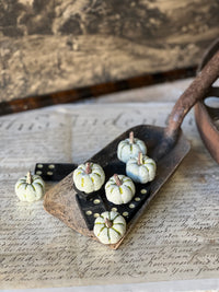 Copperfield Pumpkins