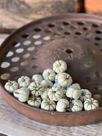 Copperfield Pumpkins
