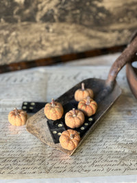 Copperfield Pumpkins