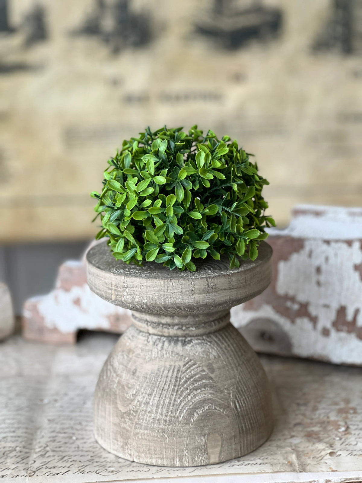 Lyric Boxwood Half Sphere