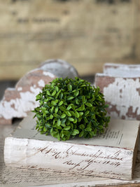 Lyric Boxwood Half Sphere