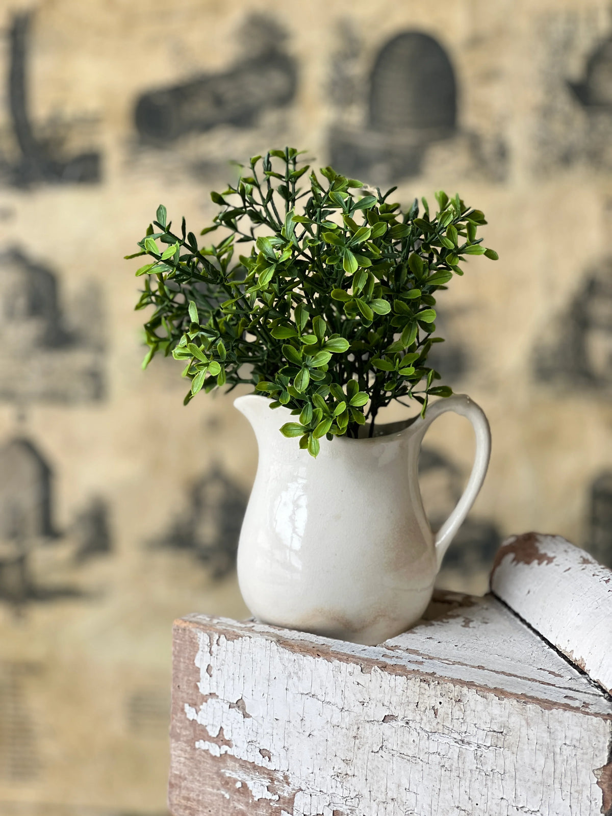 Lyric Boxwood Bush