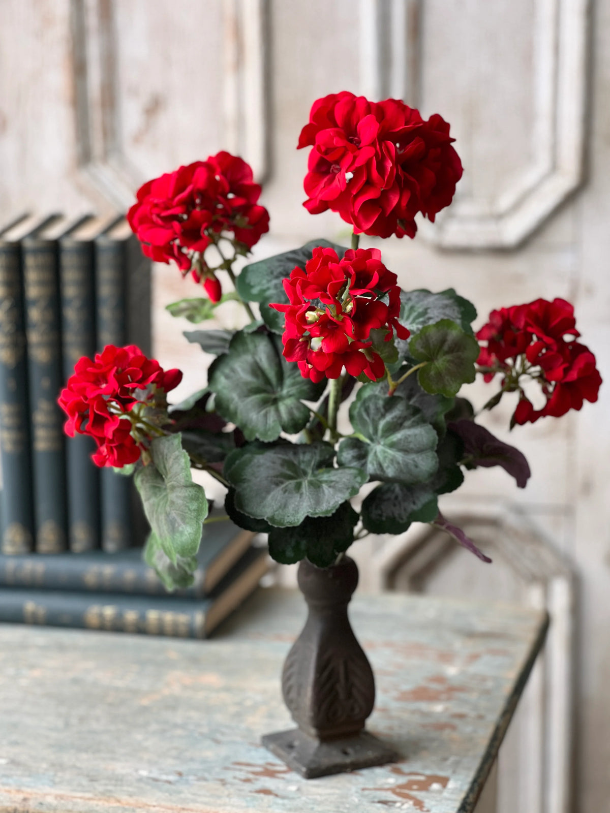 Jubilee Geranium Bush