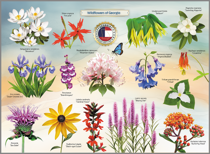 Wildflowers of Georgia Jigsaw Puzzle