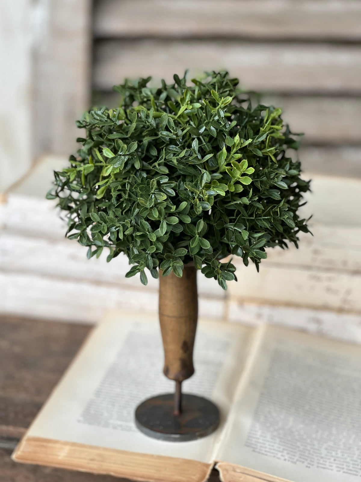 New England Boxwood Half Sphere