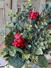 Harlequin Eucalyptus Half Sphere