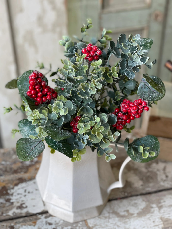 Harlequin Eucalyptus Bush