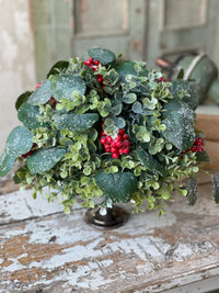 Harlequin Eucalyptus Half Sphere