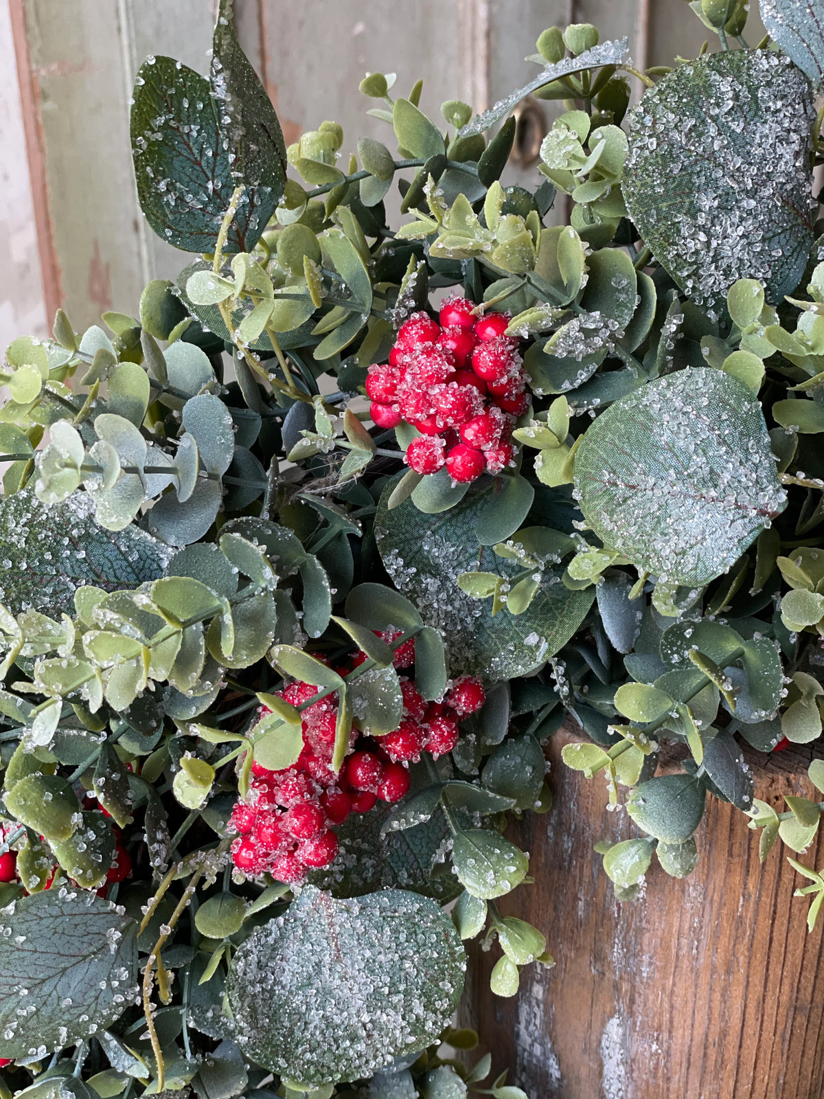 Harlequin Eucalyptus Hanging
