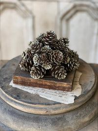 Shimmer Pine Cone Half Sphere