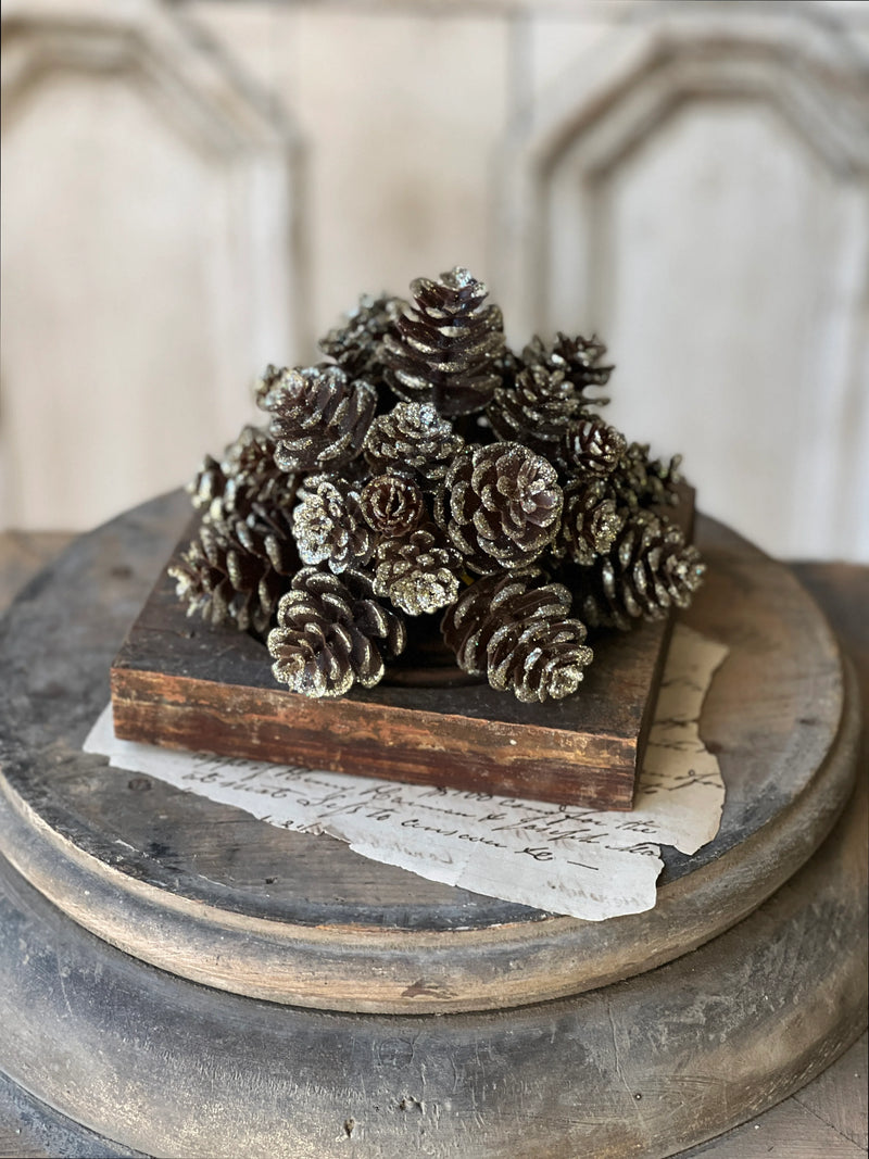 Shimmer Pine Cone Half Sphere