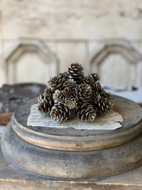Shimmer Pine Cone Half Sphere