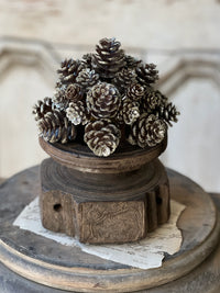 Shimmer Pine Cone Half Sphere