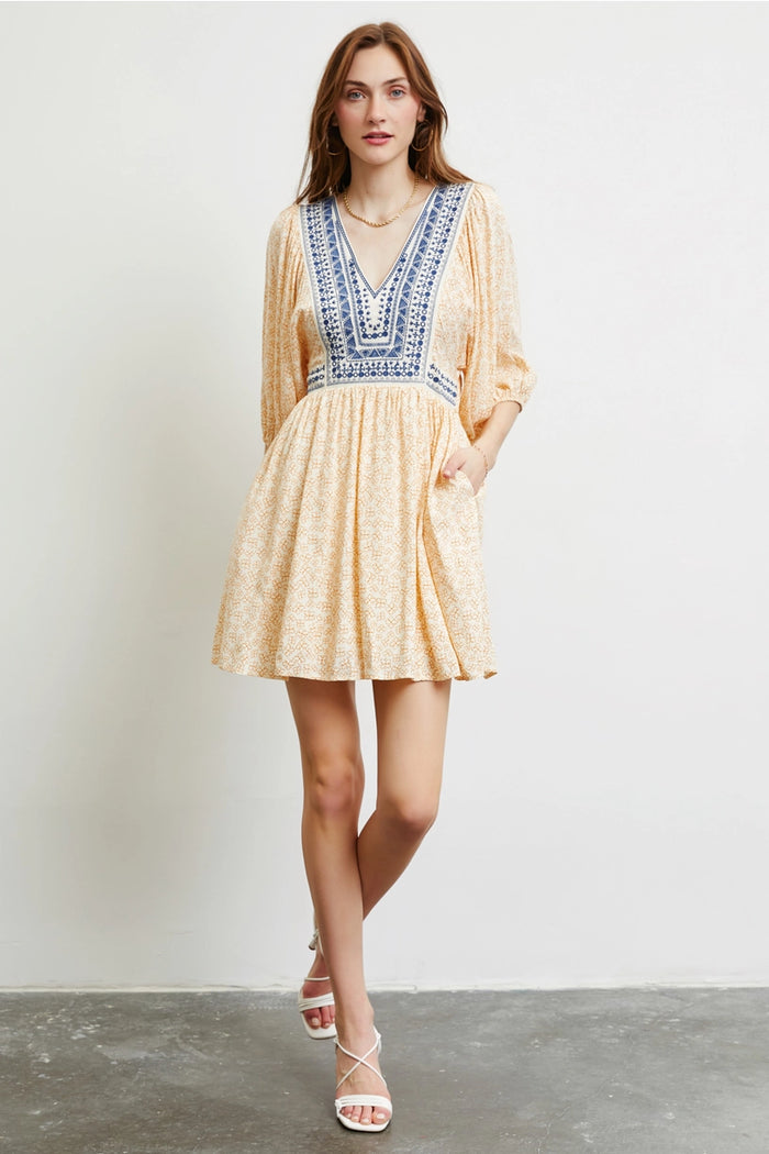 Embroidered Mini Dress
