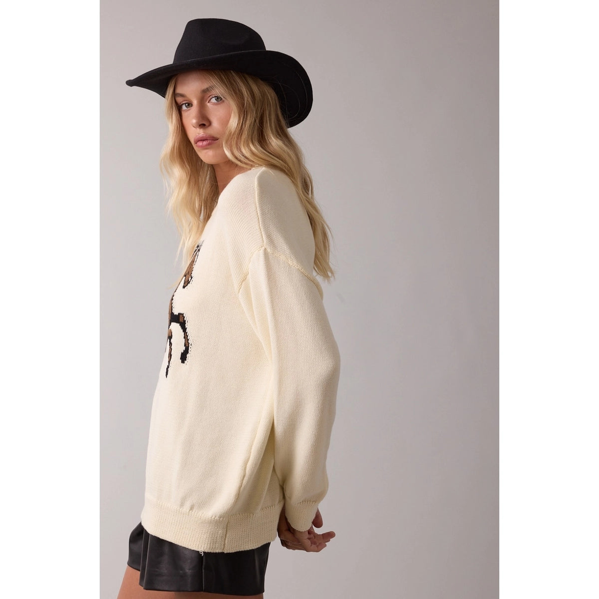 Horse Sweater