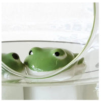 Stoneware Floating Frog