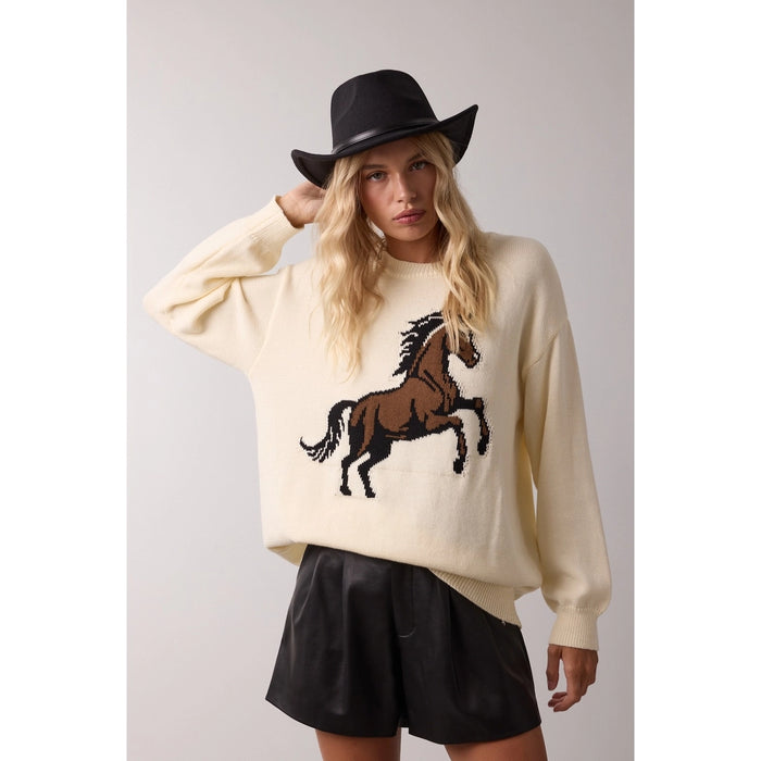 Horse Sweater