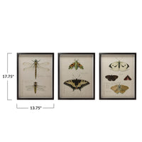Framed Print with Insects