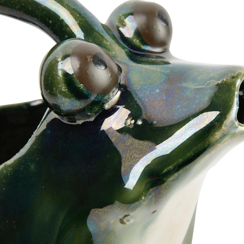 Frog Watering Pitcher